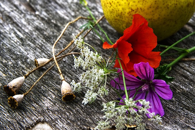 Prise de vue A6000, fleurs et fruit